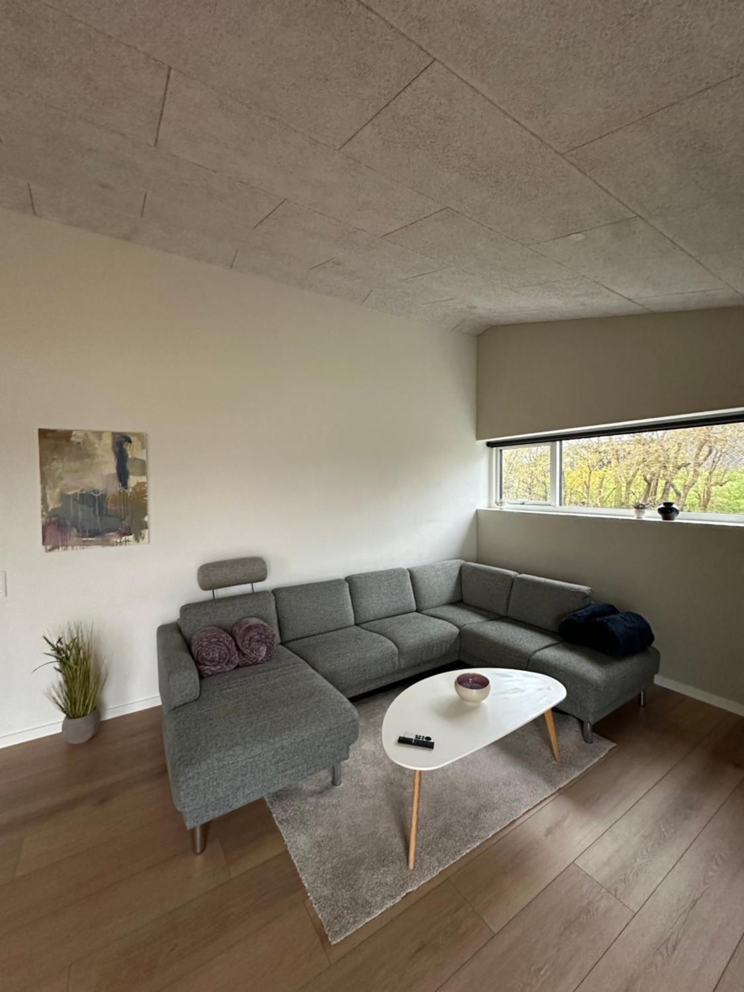 Moderne Nybygget Villa Holstebro Ngoại thất bức ảnh